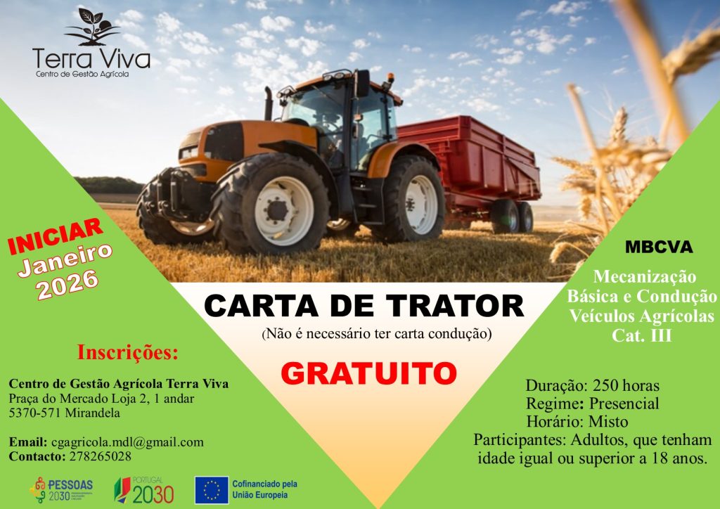 615918753_1584435169221580_3535095354192862734_n-1024x724 Terra Viva