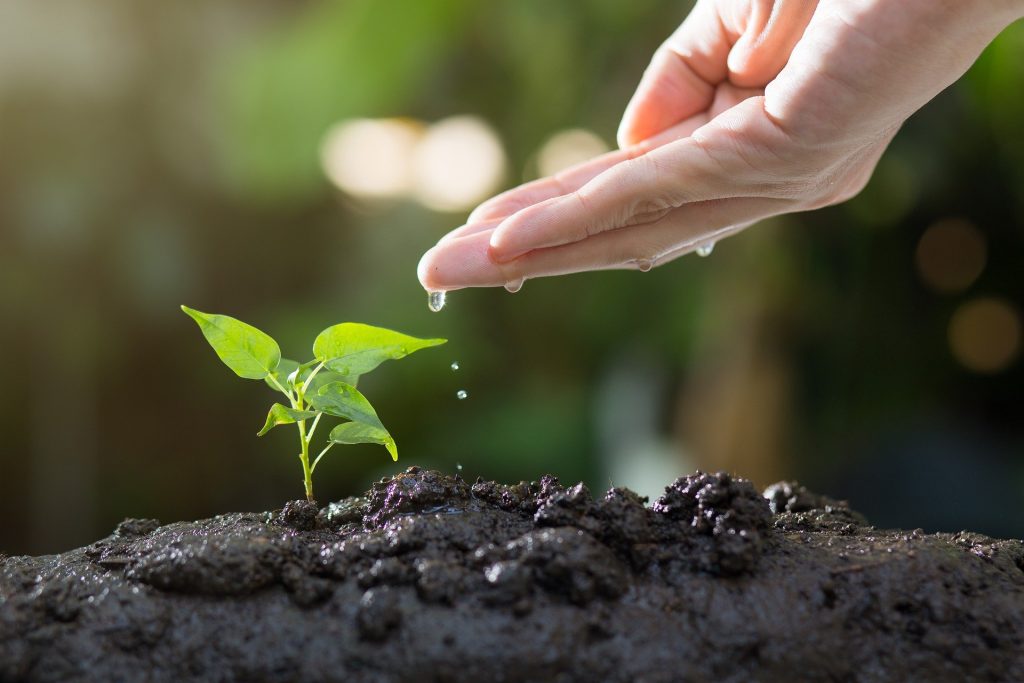 soil-8080788_1920-2-3936179420-1024x683 Galeria